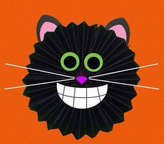 Smiling Cat… Ha Ha Ha!!!