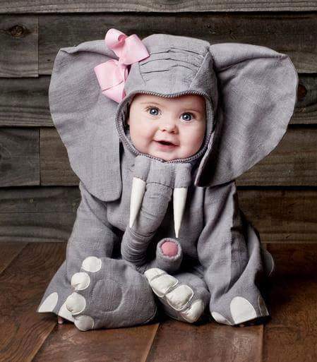 Cute Animal Costumes for Babies