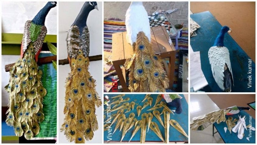 How to Make Peacock Wall Art from Waste Paper