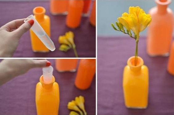 DIY: How to Make Painted Bottle Vases at Home