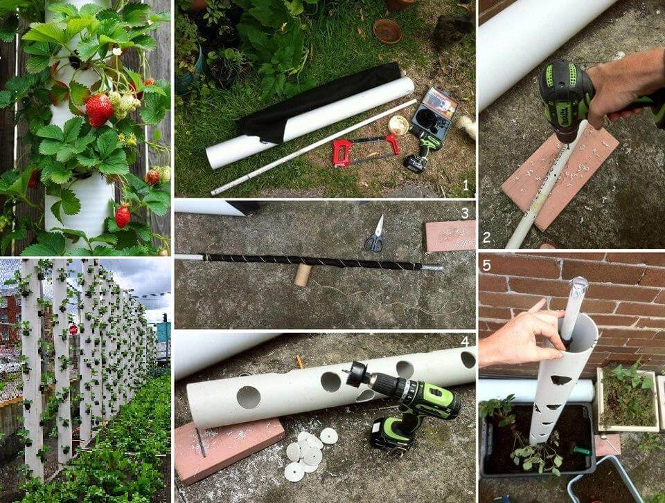Vertical-Strawberry-Tube-Planter-for-Your-Garden-pvc-craft DIY Creative Uses Of PVC Pipes - Step by step