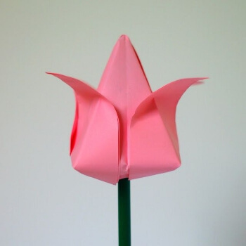 origami-paper-tulip-How To Make Origami Tulip Flower - Step by step