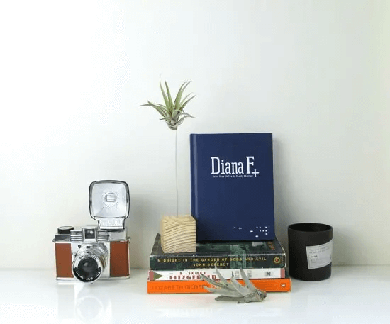 DIY Airplant Stand for Study Table
