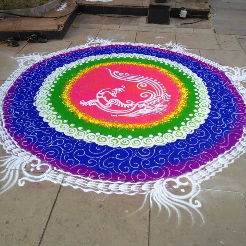 Very Big Colorful Peacock Kolam Rangoli Design