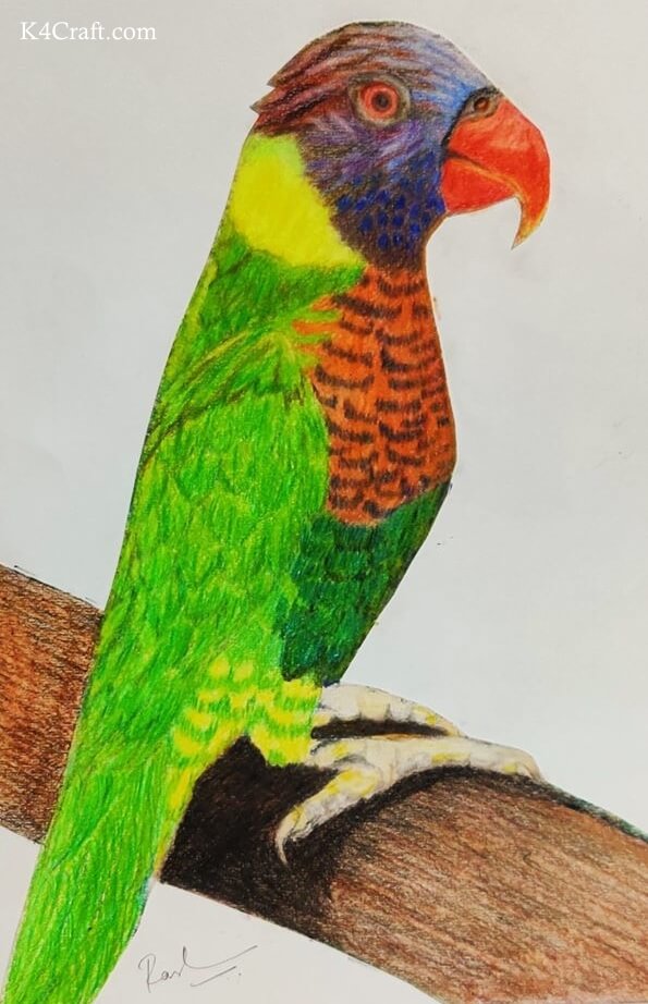 DIY Rainbow Parrot