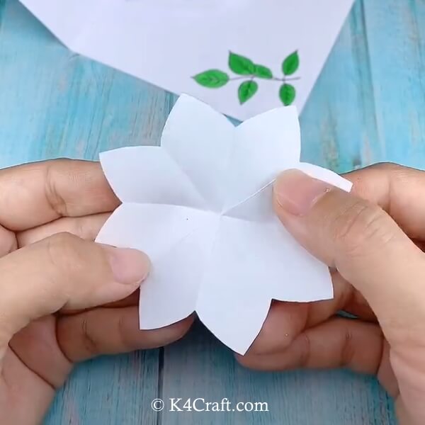 Opening the flower folds