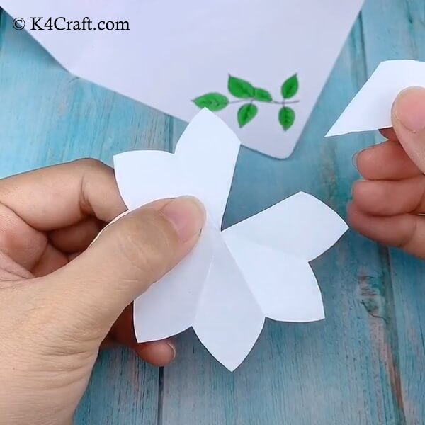 Cutting one petal out of the flower