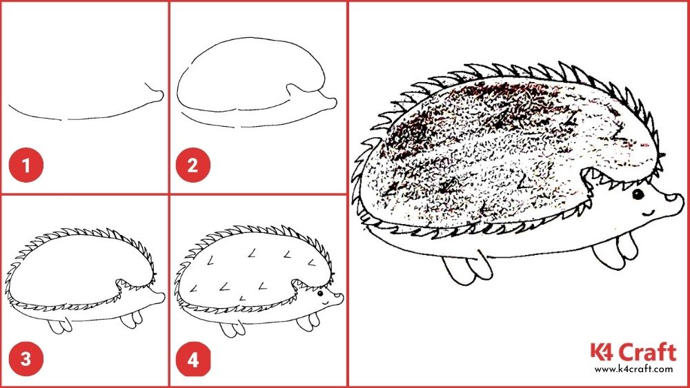 How to Draw a Hedgehog for Kids-Easy Step by Step Tutorial • K4 Craft