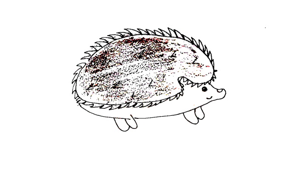 How to Draw a Hedgehog